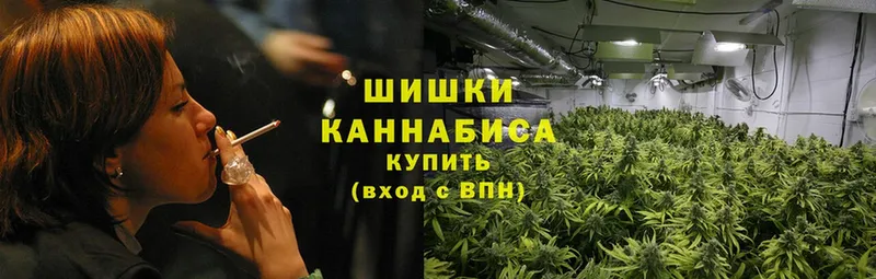 купить   Болхов  МАРИХУАНА SATIVA & INDICA 